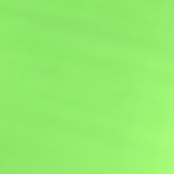 50 10X13 Neon Green Poly Mailers PRICE IS FIRM - Picture 6 of 8